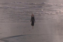 Image 1-1