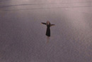 Image 1-6
