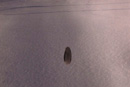 Image 1-8