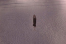 Image 1-9